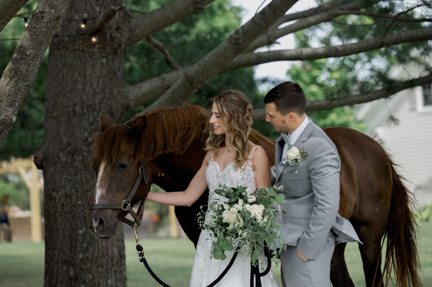 bride and groom with horse apple river il wedding