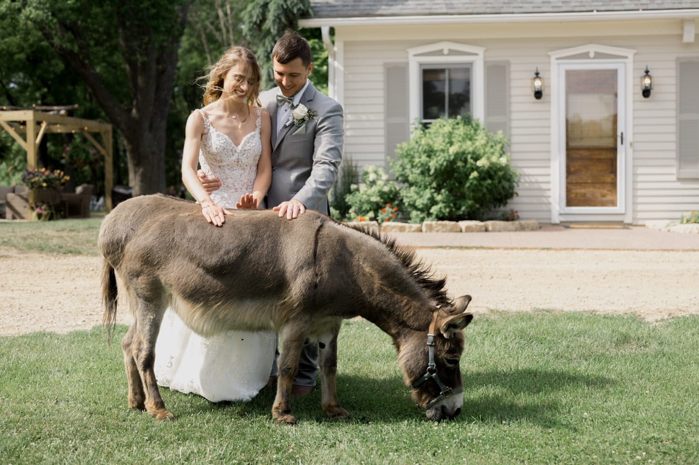 bride and groom with donkey apple river il wedding