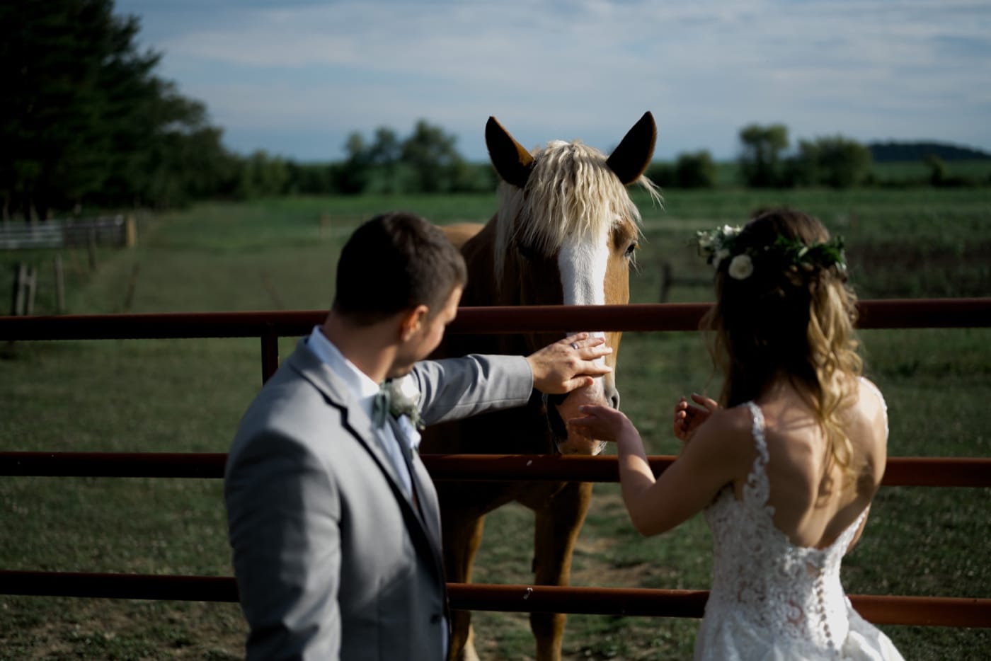 47 bride and groom with horses iillinois wedding photograph