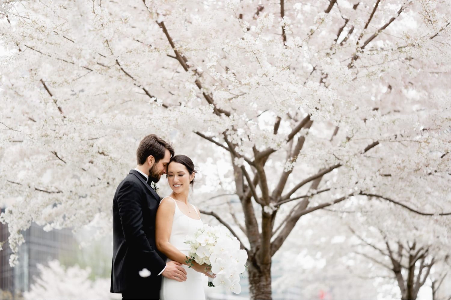 Stunning bride and groom portraits during spring blooms
