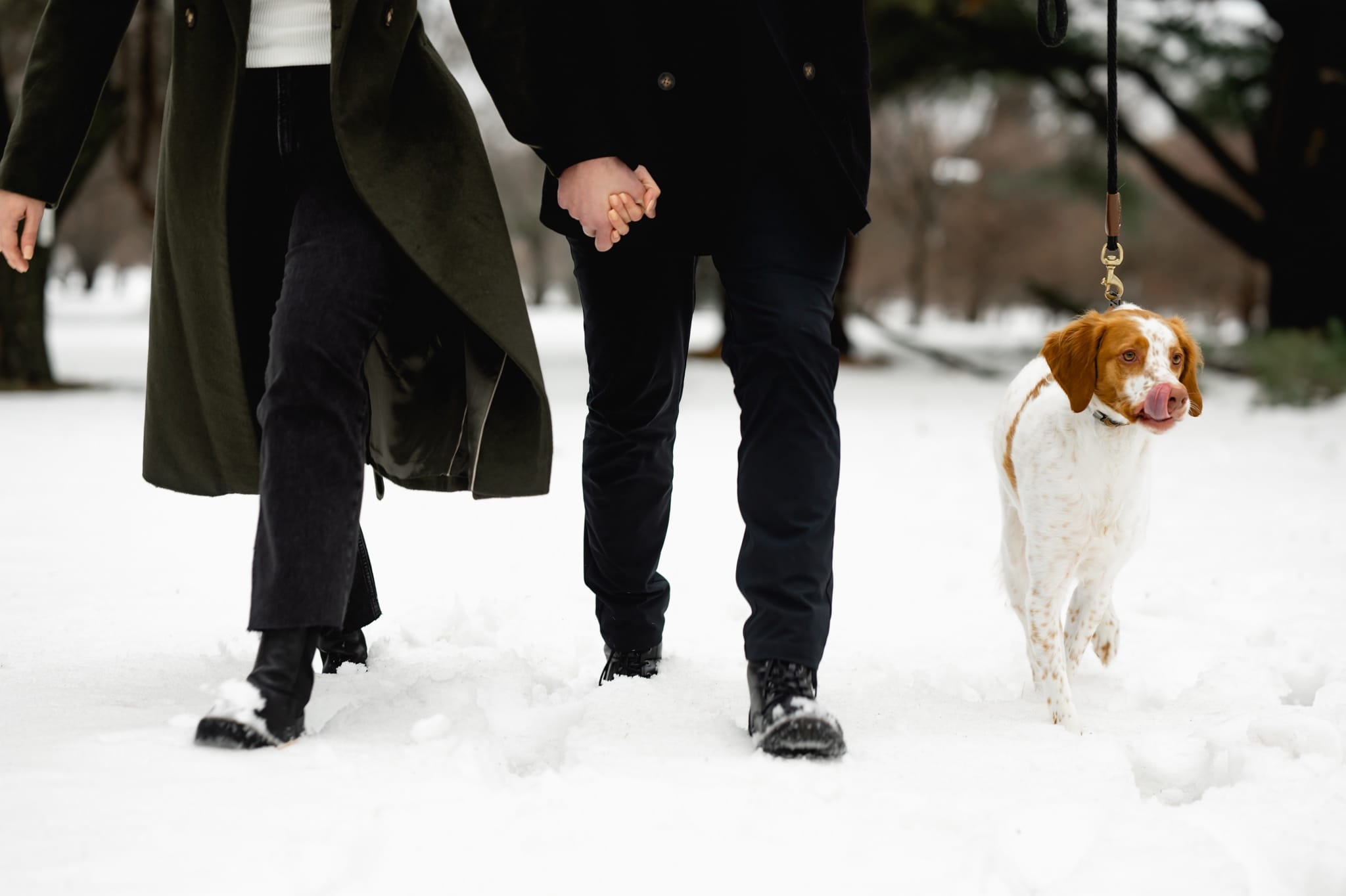 snowy engagement session with dog